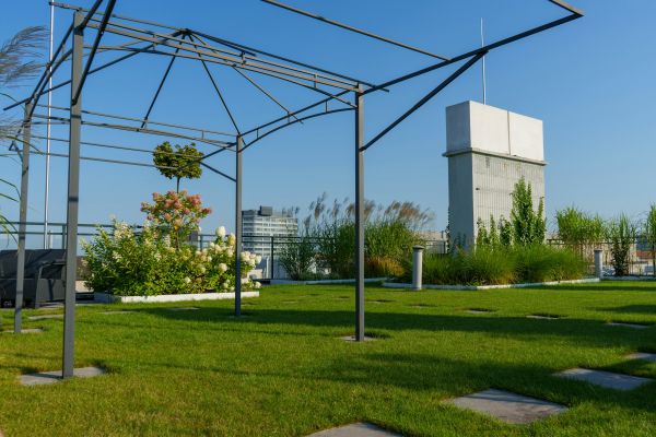 Les meilleures méthodes pour fixer une pergola dans l'herbe